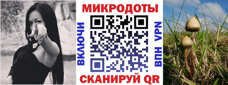 гидра ONION Губкин Псилоцибиновые грибы прущие грибы